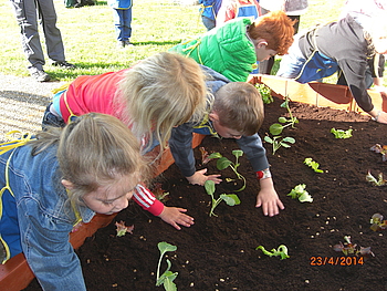 Kinder beim w�hlen