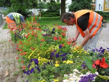Zwei Mitarbeiter der Stadtgrtnerei pflegen die Blumenbeete in den zentralen rtlichkeiten.