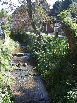 Um ein gepflegtes Ortsbild zu erhalten, findet am Donnerstag, 7. Oktober, eine Bachputzaktion in Michelbach statt.