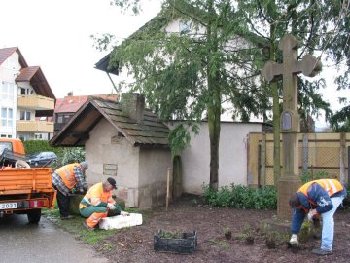 Mitarbeiter des stdtischen Bauhofes pflanzen beim Wegekreuz Bodendecker.