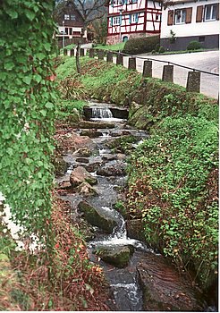 Der Michelbach hat so manches erlebt und ist voller Geheimnisse. Foto: Bittmann