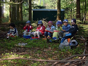 Waldtag im Kindergarten