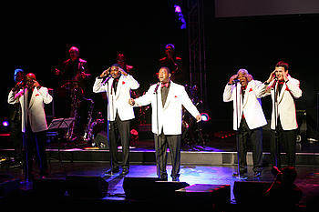 Erwecken die goldene �ra unvergessener Soul-Giganten in der Jahnhalle wieder zum Leben: die Akteure der Sweet Soul Music Revue. Foto: privat