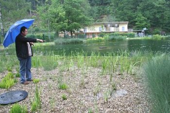 Sorgen fr die gute Wasserqualitt des Waldseebades auf natrlicher Basis: Wasserpflanzen im Reinigungsbecken.<br />
