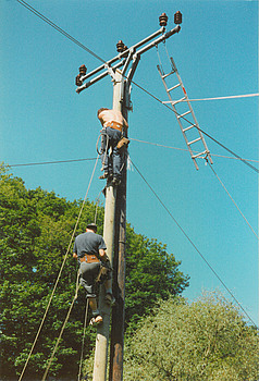 Hoch am Strommast: Mitarbeiter der Stadtwerke Gaggenau in Aktion. Foto: StVw