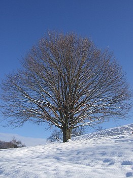Winter in Michelbach