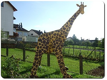 Giraffe an Grundschule Michelbach