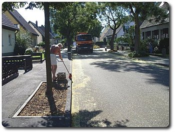 Herab fallende Bl�ten und Rinden machen Anwohnern und Stadt zu schaffen 