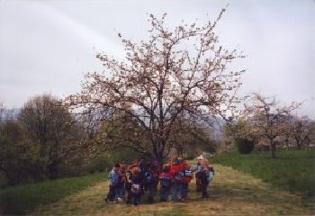 Kinder an einem Obstbaum