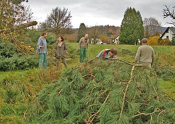 Die Aktion �Gaggenau r�umt auf� ist zu einer richtigen Erfolgsgeschichte geworden. 