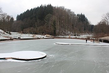 Das zugefrorene Waldseebad l�dt Kufensportler zum Pirouettendrehen ein. Foto: StVw<br />
