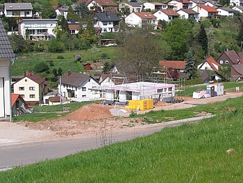 Wiesele / Im Feld Bild